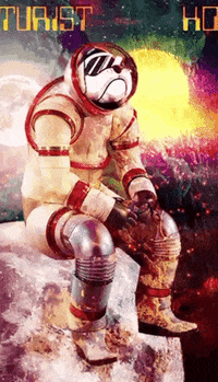 HogeFinanceOfficial space to the moon hoge astronaught GIF