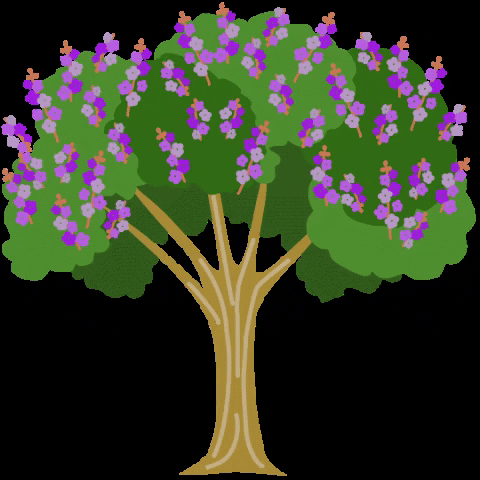 cynthiabauzonarre giphygifmaker flower flowers tree GIF