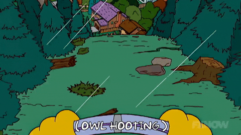 Episode 7 Owl GIF by The Simpsons