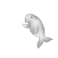 Sps Dugong Sticker
