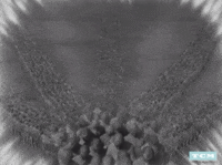 tcm sci-fi iconic tcm silent film GIF