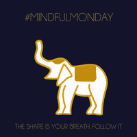 DiamondRehabThailand relax calm meditation mental health GIF