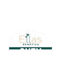Ellassuz Sticker by SEEDCORP | HO