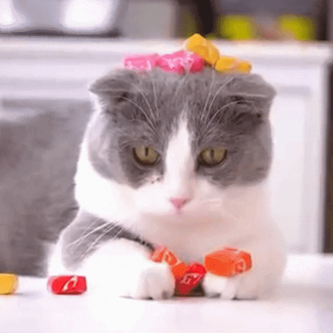 Cat Help GIF by Wengie