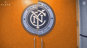 New York City Mls GIF by NYCFC