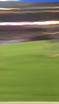 Celebration GIF by NYCFC