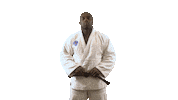 World Champion Sport Sticker by Paris Saint-Germain Judo