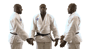 World Champion Sport Sticker by Paris Saint-Germain Judo