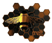 Meltcosmetics gold fly bee raw Sticker