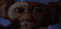 gremlins 2 GIF