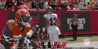 Regular Season Football GIF by NFL