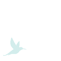 TrinaDG bird fly volar pajaro Sticker