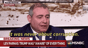 news donald trump msnbc rachel maddow lev parnas GIF