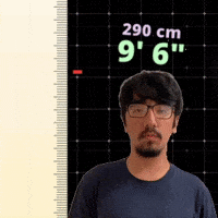 9' 6"
