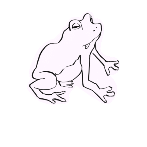 Frog Sticker
