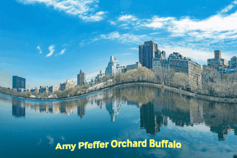 amypfefferbuffalo giphygifmaker GIF