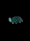 Schildpad GIF by Beam it Up