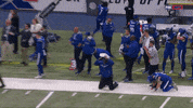 Football No GIF by XFL