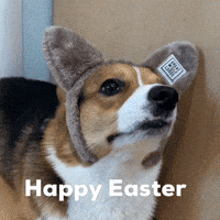 Dog Easter GIF