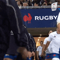 Womens6Nations france rugby french womens sports GIF