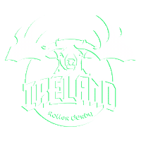 Team Ireland Sticker