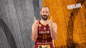 Sport Basketball GIF by Basket_fi