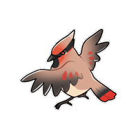 Firuo_drawingbirds bird 鳥 waxwing 朱連雀 Sticker