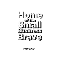 NovoPlatformInc small business brave novo novohq Sticker
