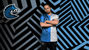 Rocket League No GIF by BS+COMPETITION