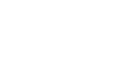 Roka Sticker by Not So Retro