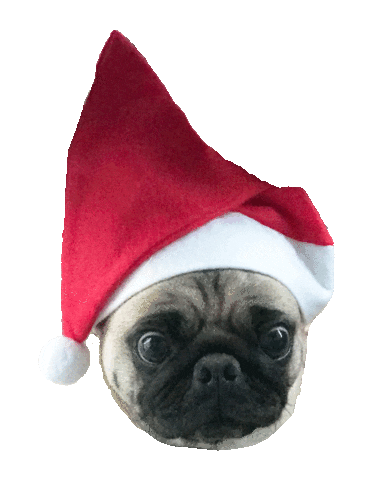 Christmas Pug Sticker by Crystal & Stone