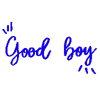 zoemysd good boy good dog zoemysd bon garcon Sticker