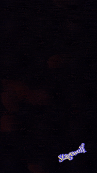 Concert Fail GIF by STAGEWOLF