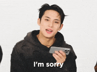 Im Sorry Kim Mingyu GIF