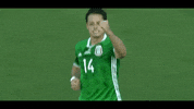 Futbol Mexicano Football GIF by MiSelecciónMX