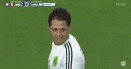copa america centenario that look GIF by Univision Deportes
