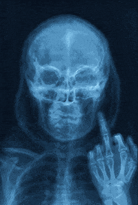 F U Flick Off GIF by The LSD Hotel