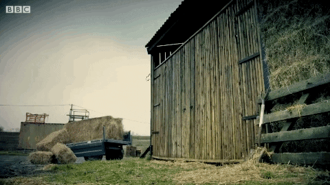 bbc tractor GIF by Top Gear