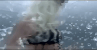 music video mv GIF by Lady Gaga