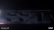 GIF by Halo