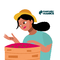 Dia De La Mujer Coffee Sticker by Rainforest Alliance