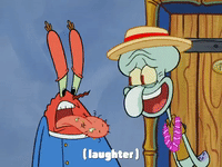 season 4 krusty towers GIF by SpongeBob SquarePants