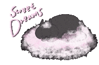 Cat Sticker