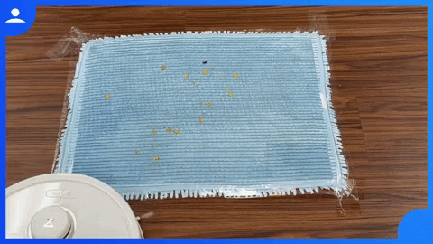 hanaYY giphyupload GIF