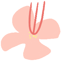 Illustration Pink Sticker