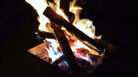 yj_jane giphygifmaker GIF