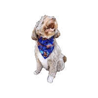 Disney Movies Sticker by Geekster Pets