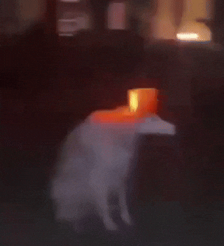 Alerting Red Light GIF