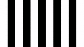Schwarz-Weiss Football GIF by SK Sturm Graz