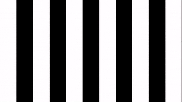 Celebration Goal GIF by SK Sturm Graz